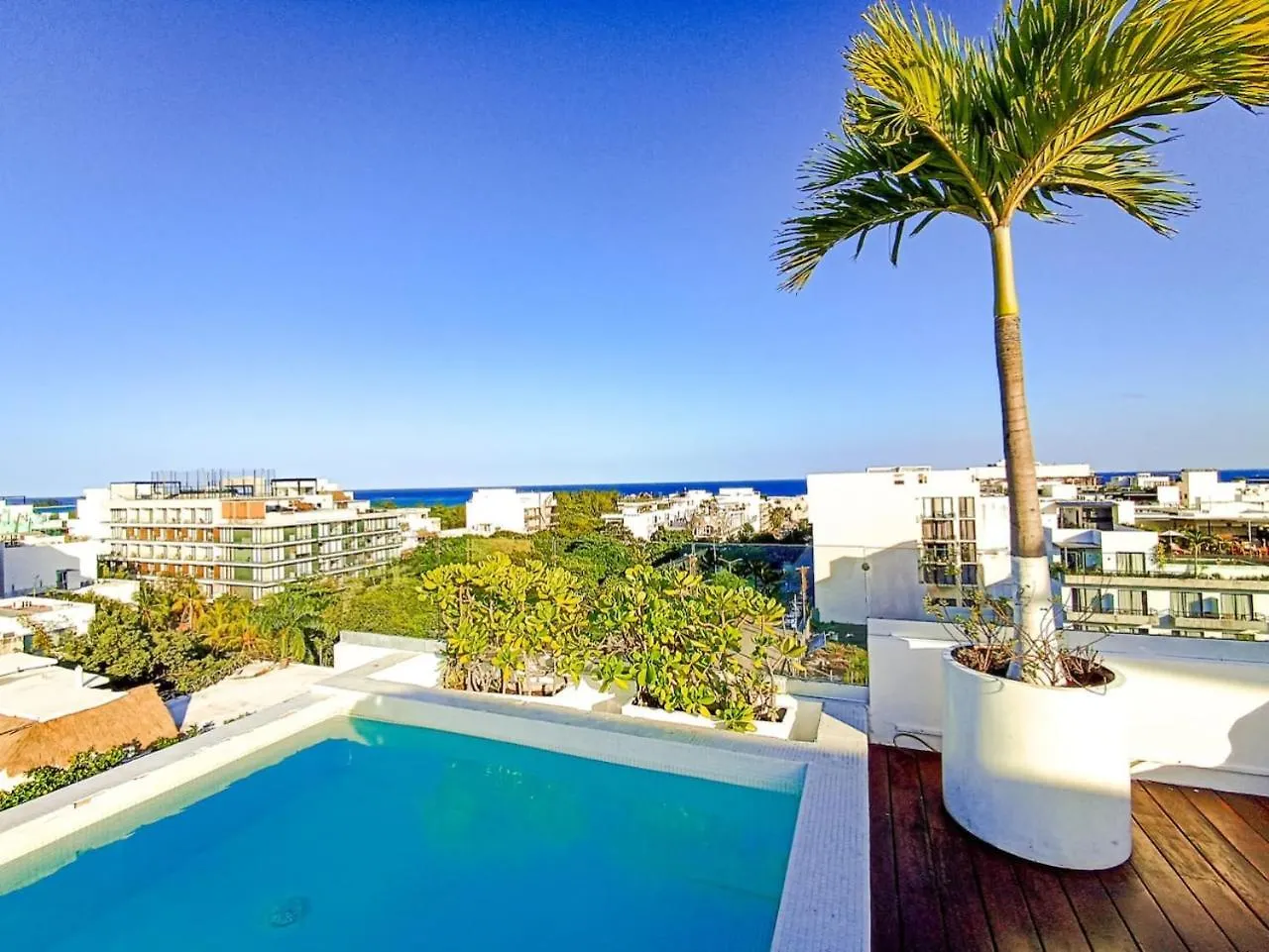 Wide Studio With Sunny Balcony Pool Gym Steps 2 Beach Playa del Carmen Apartment